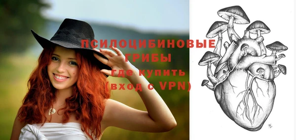 стаф Михайловка